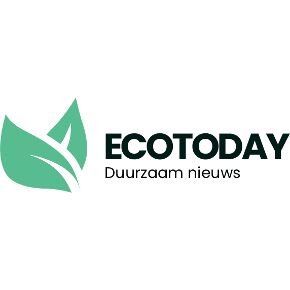 Cleane, modieuze sneakers, voor mannen en vrouwen. Lokaal geproduceerd met duurzame materialen en productie methoden. Maatschappelijke en sociale impact